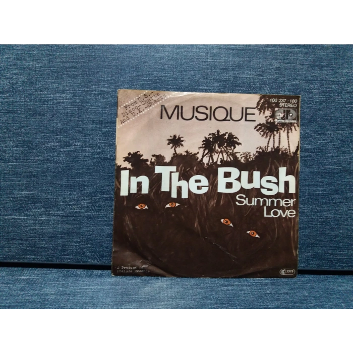 MUSIQUE IN THE BUSH