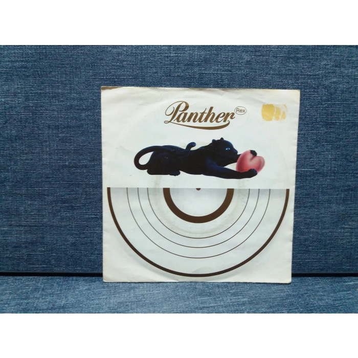 PANTHER REX GOODBYE MY LOVE - ITS NOT EASY