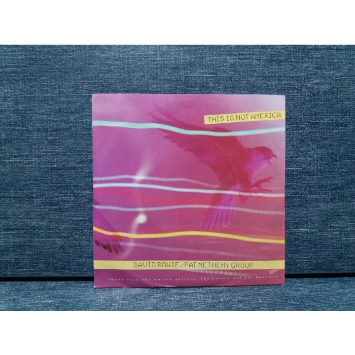 PAT METHENY DAVID BOWIE THIS IS NOT AMERICA