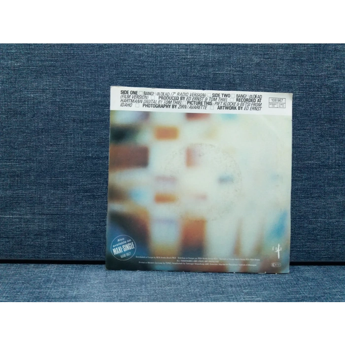 PICTURE THIS BANG DEAD