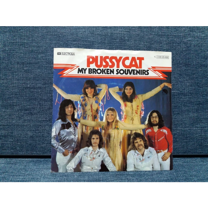 PUSSYCAT MY BROKEN SOUVENIRS