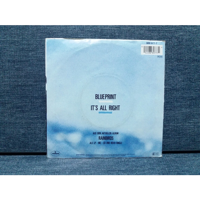 RAINBIRDS BLUE PRINT