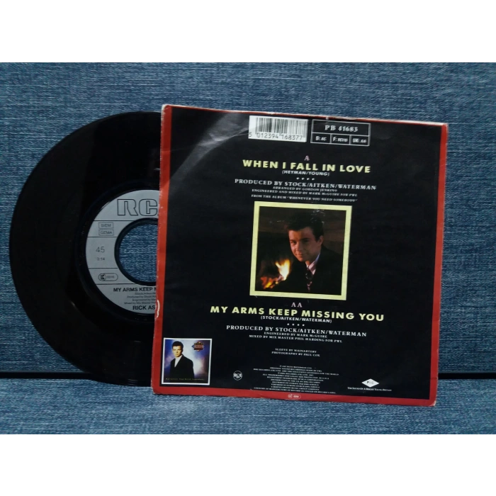 RICK ASTLEY WHEN I FALL IN LOVE