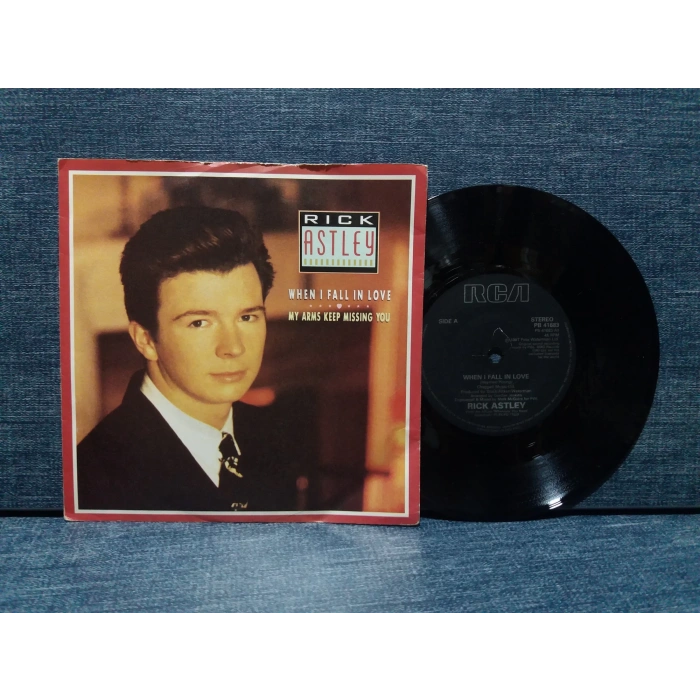 RICK ASTLEY WHEN I FALL IN LOVE  - MISSING YOU