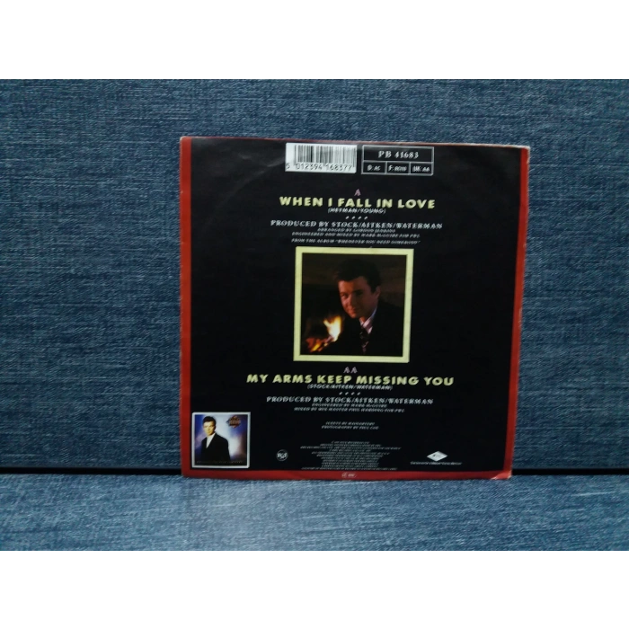 RICK ASTLEY WHEN I FALL IN LOVE  - MISSING YOU