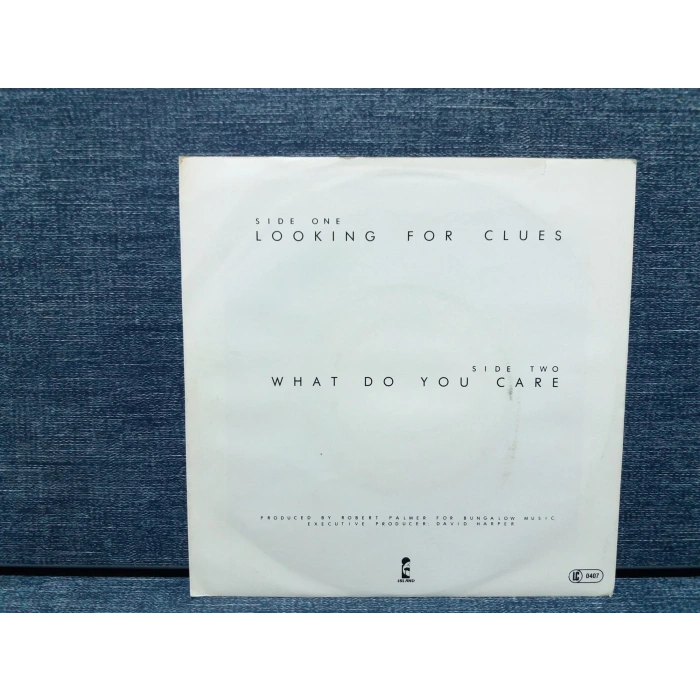 ROBERT PALMER CLUES LOOKING