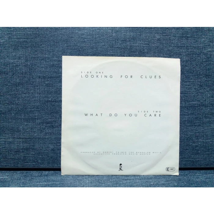 ROBERT PALMER LOOKING FOR CLUES - WHAT CARE