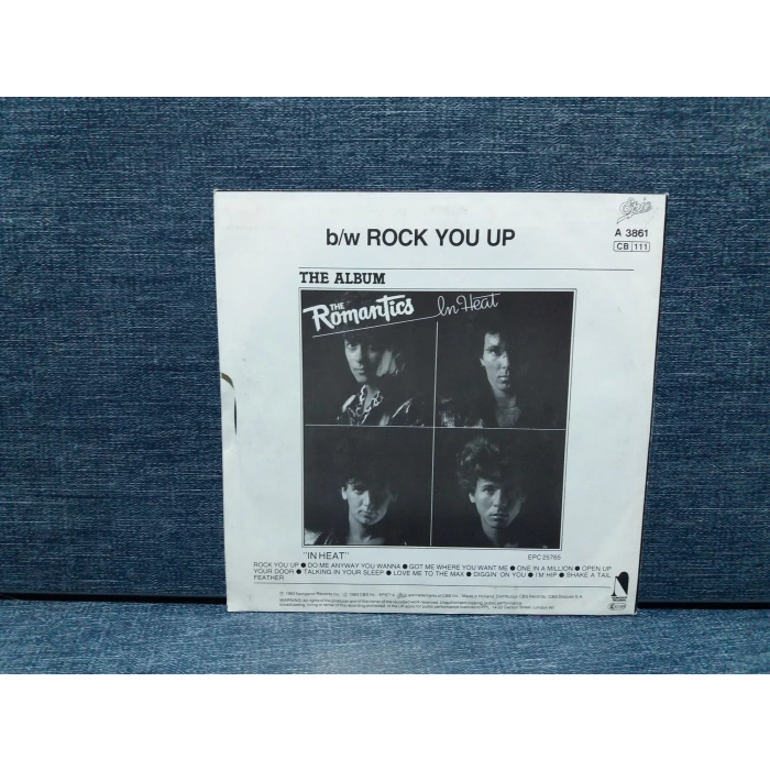 ROMANTICS TALKING IN YOUR SLEEP