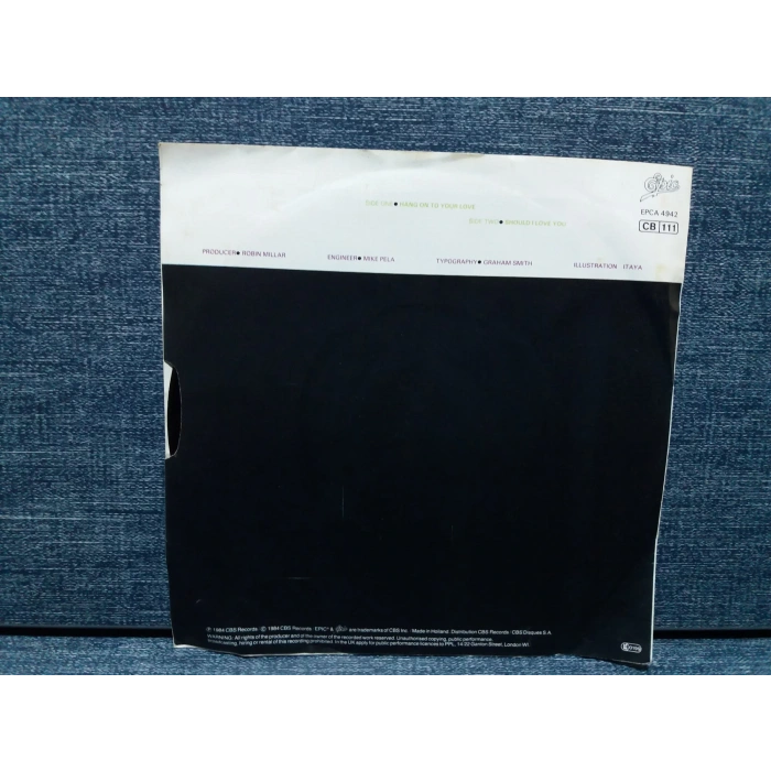 SADE HANG ON O YOUR LOVE