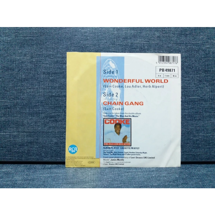 SAM COOKE WONDERFUL WORLD