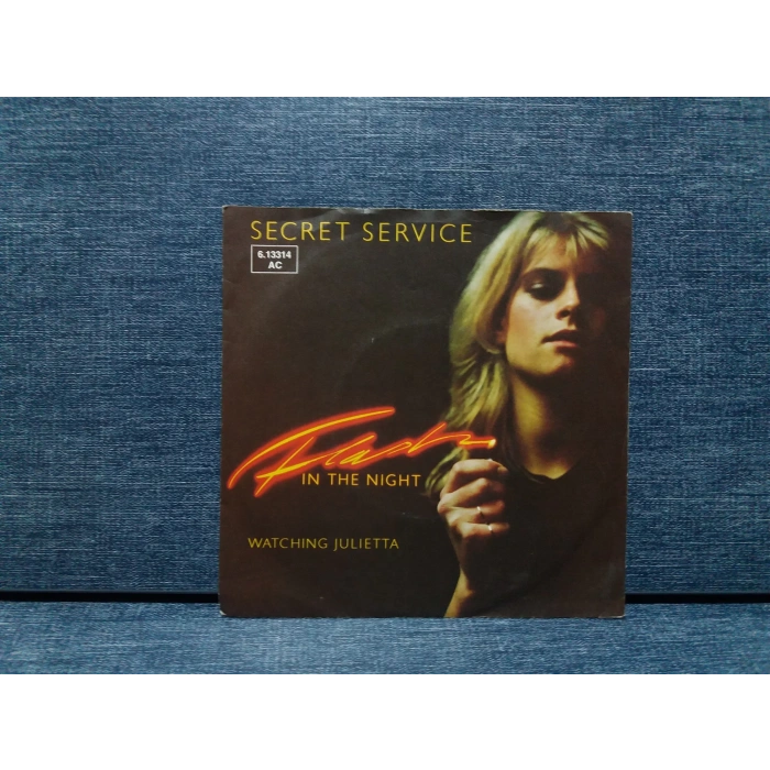 SECRET SERVICE FLASH IN THE NIGHT