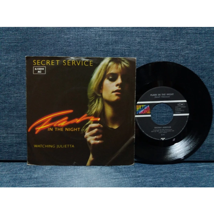 SECRET SERVICE FLASH IN THE NIGHT