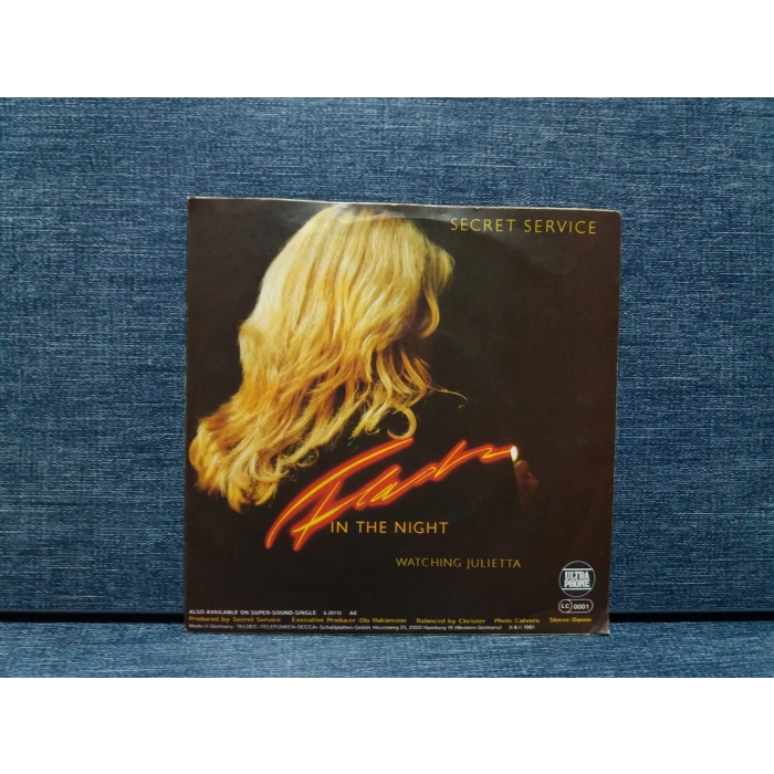 SECRET SERVICE FLASH IN THE NIGHT