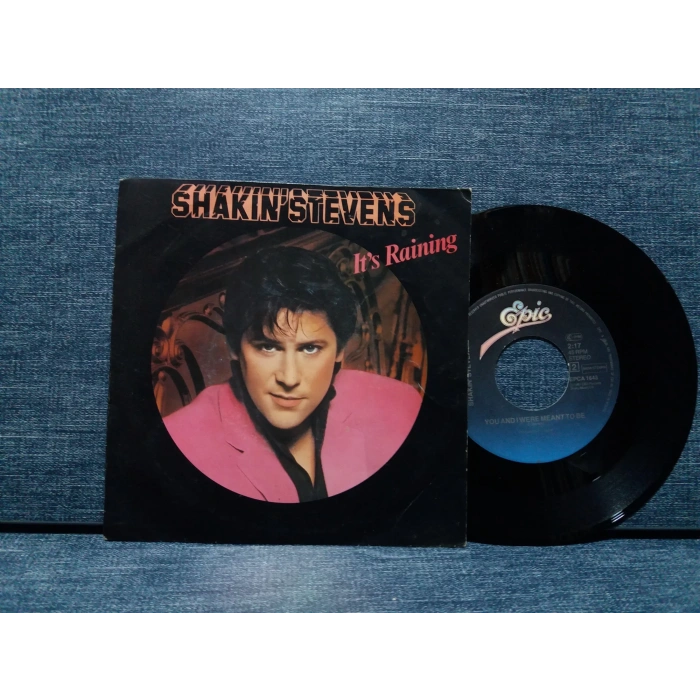 SHAKIN STEVENS ITS RAINING