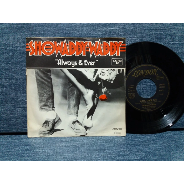 SHOWADDY WADDY ALWAY EVER - COOL