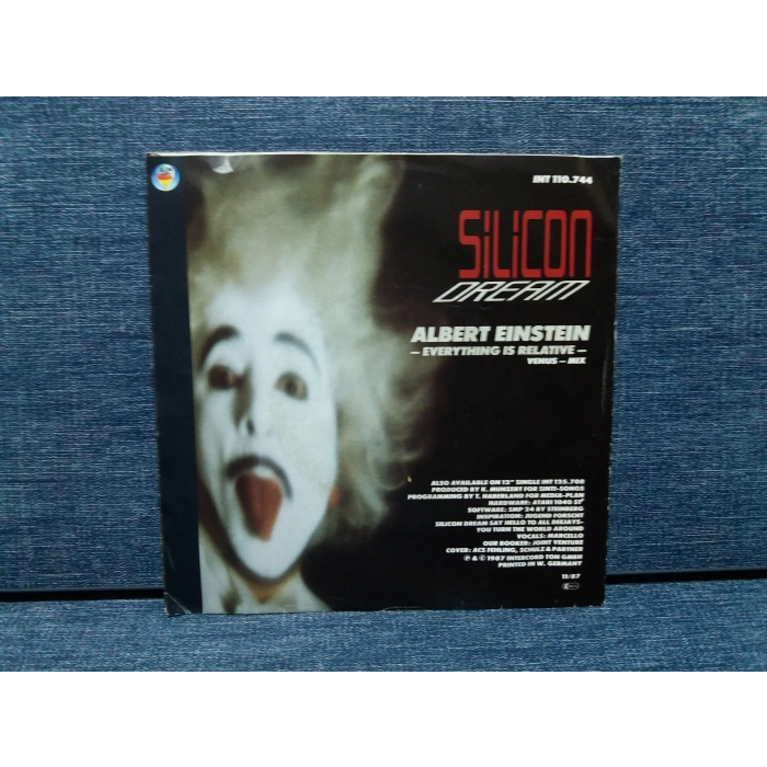 SILICON DREAM ALBERT EINSTEIN ( RENKLİ PLAK)