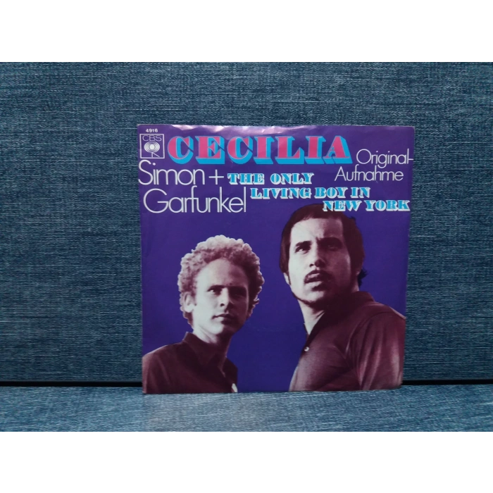 SIMON GARFUNKEL ONLY LIVING BOY IN NEW YORK