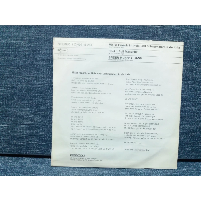 SPIDER MURPHY GANG ROCK N ROLL