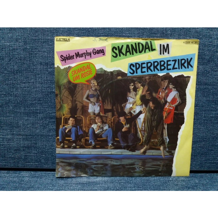 SPIDER MURPHY GANG SKANDAL