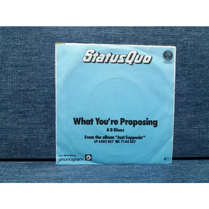 STATUS QUO WHAT YOURE PROPOSING