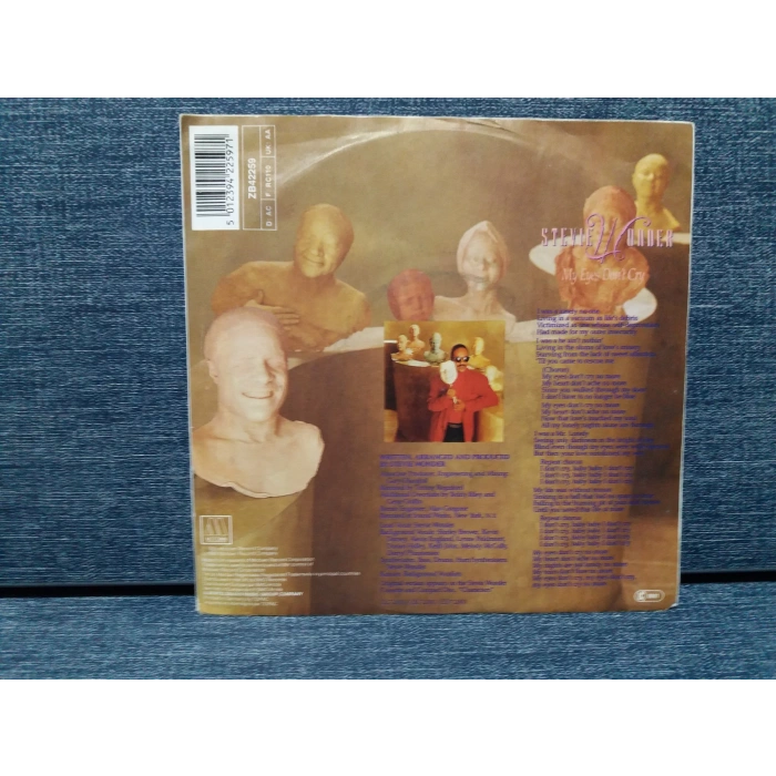 STEVIE WONDER MY EYES DONT CRY