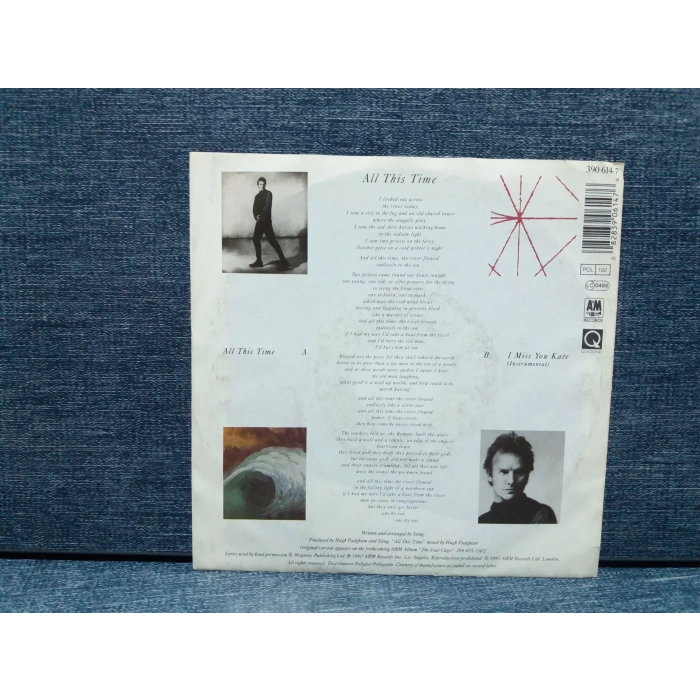 STING ALL THIS TIME - I MISS YOU KATE