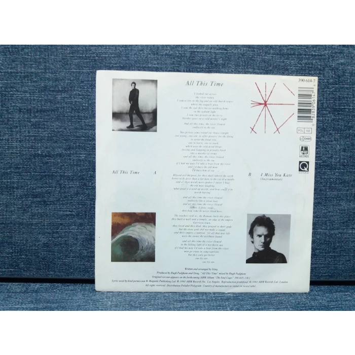 STING ALL THIS TIME - I MISS YOU KATE