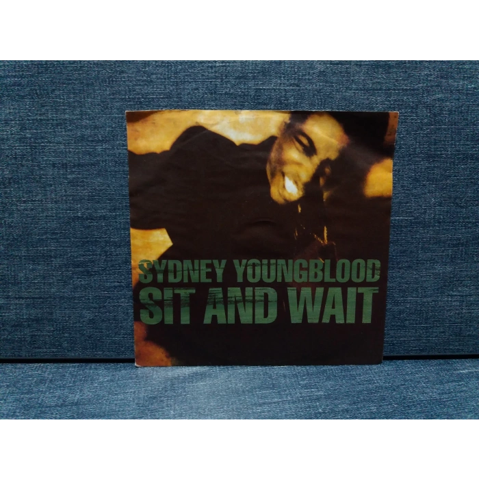 SYDNEY YOUNGBLOOD SIT AND WAIT