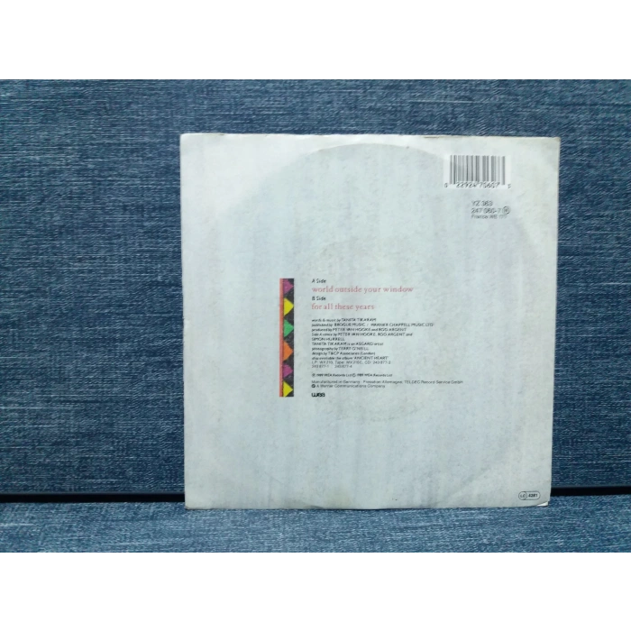 TANITA TIKARAM WORLD OUTSIDE YOUR WINDOW