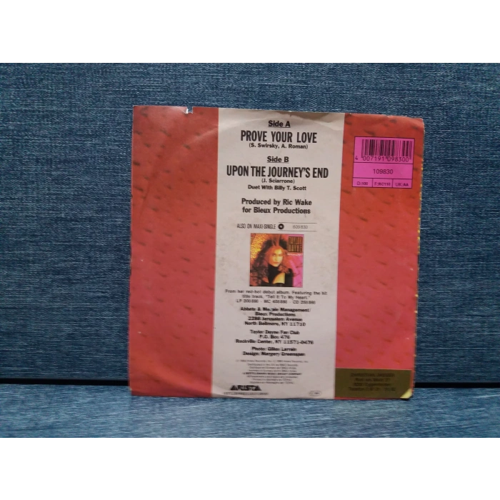 TAYLOR DAYNE PROVE YOUR LOVE