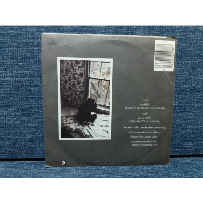 TEARS FOR FEARS PALE SHELTER