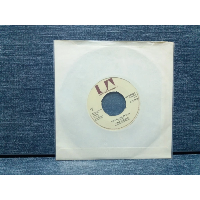 TINA TURNER FIRE DOWN BELOW - ROOT TOOT