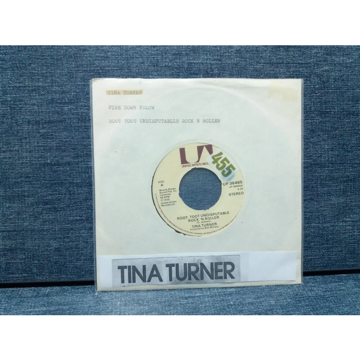 TINA TURNER FIRE DOWN BELOW - ROOT TOOT