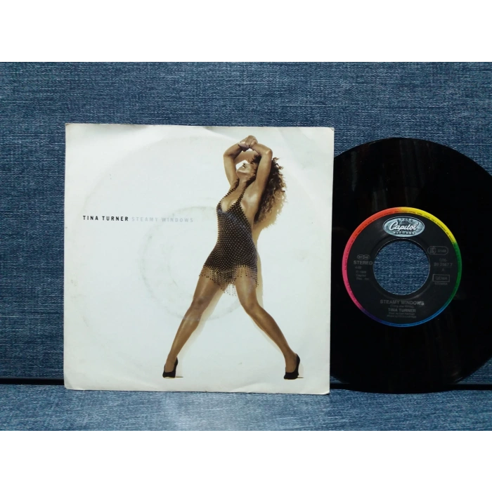TINA TURNER STEAMY WINDIOWS