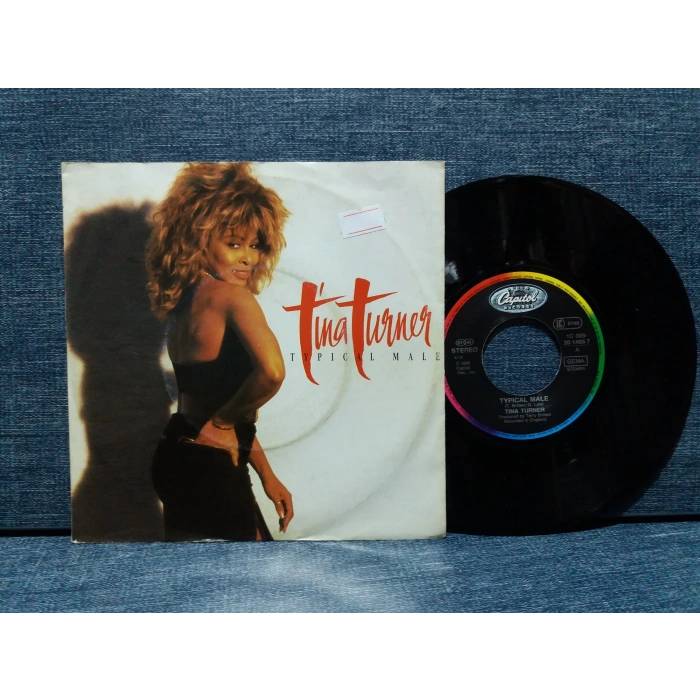 TINA TURNER TYPICAL MALE - DONT TURN AROUND