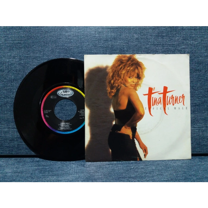 TINA TURNER TYPICAL MALE - DONT TURN AROUND