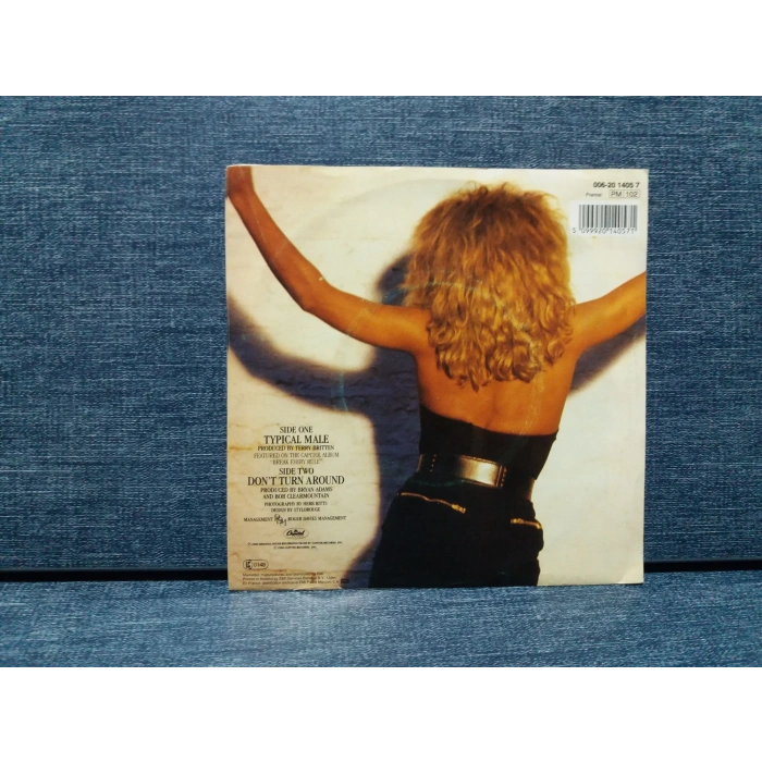 TINA TURNER TYPICAL MALE - DONT TURN AROUND