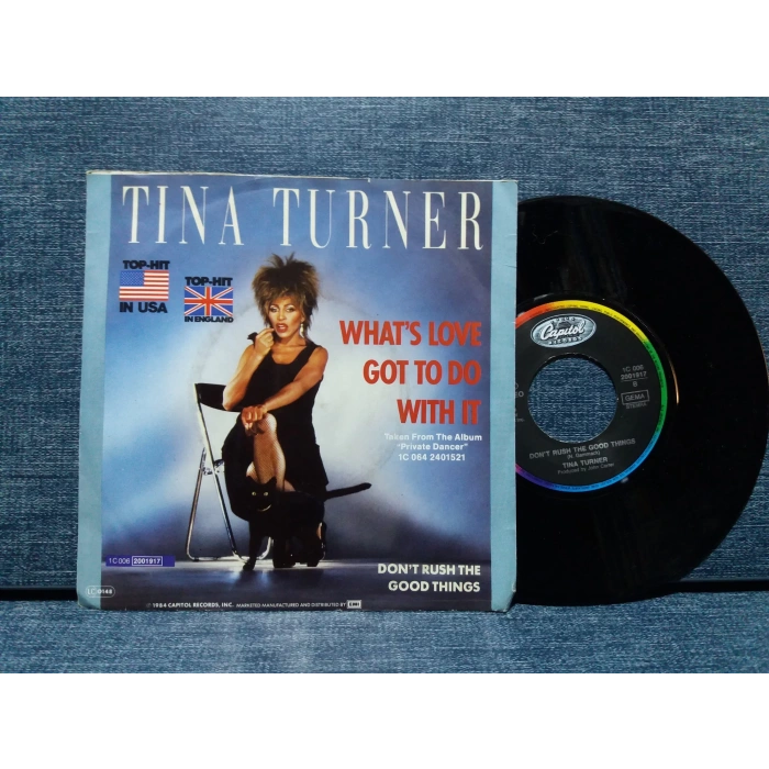 TINA TURNER WHATS LOVE GOT TO DO