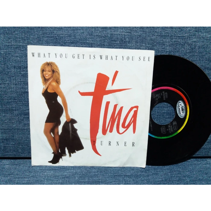 TINA TURNER WHAT YOU GET IS