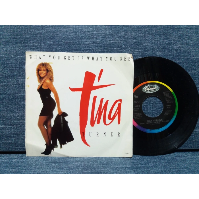 TINA TURNER WHAT YOU GET IS WHAT