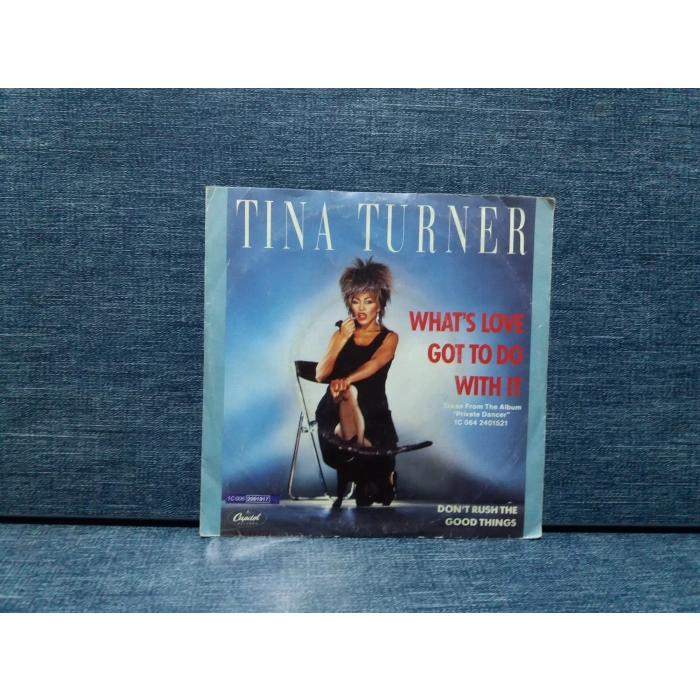 TINA TURNER WHATS LOVE GOT TO DO WHIT IT