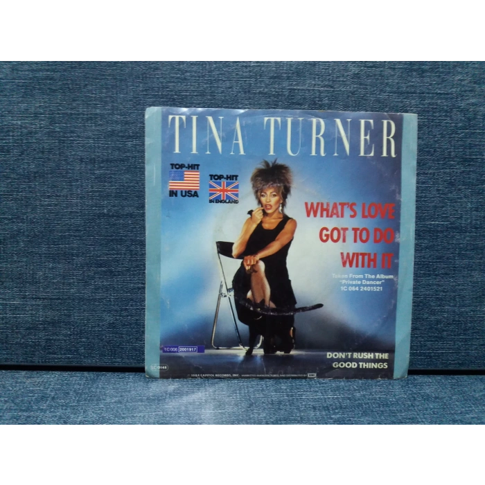 TINA TURNER WHATS LOVE GOT TO DO WHIT IT