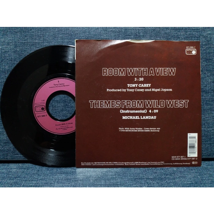 TONY CAREY WILDER WESTERN ROOM WITH