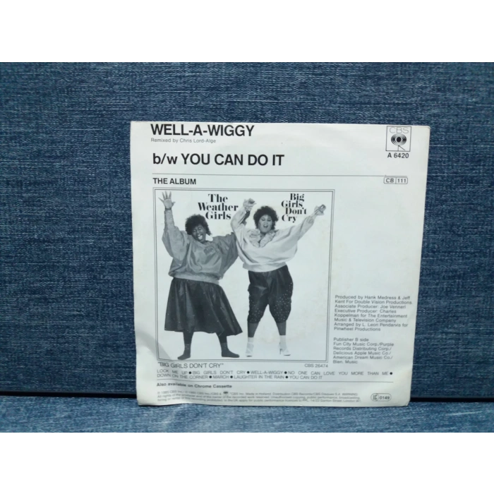 WEATHER GIRLS WELL A WIGGY