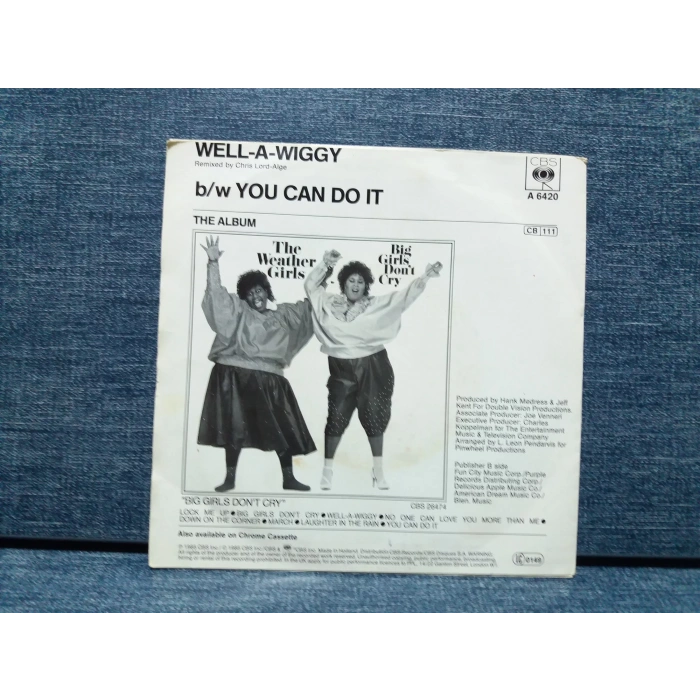 WEATHER GIRLS WELL A WIGGY