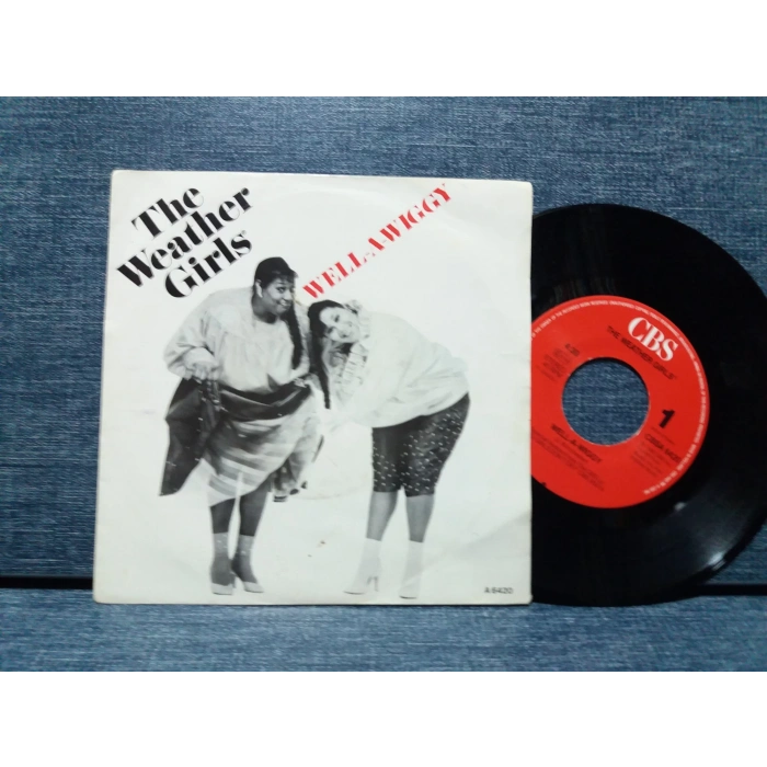 WEATHER GIRLS WELL A WIGGY