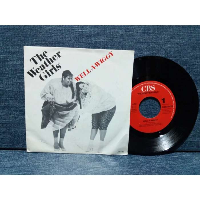 WEATHER GIRLS WELL A WIGGY