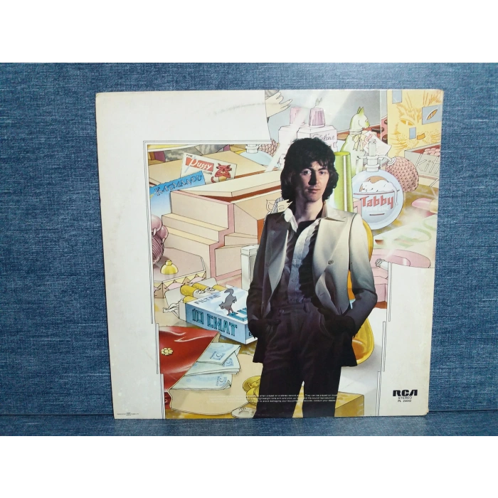 AL STEWART YEAR OF THE CAT LP