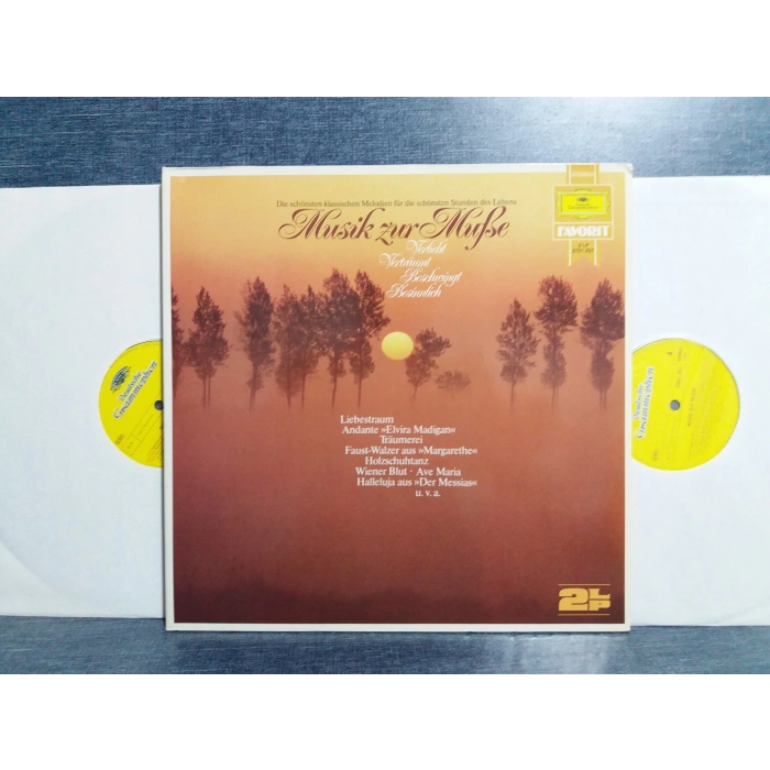 ANDANTE ELVIRE MADIGAN 2 LP