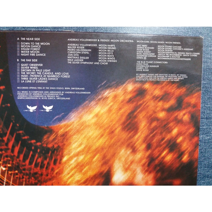 ANDREAS VOLLENWEIDER DOWN ON THE MOON